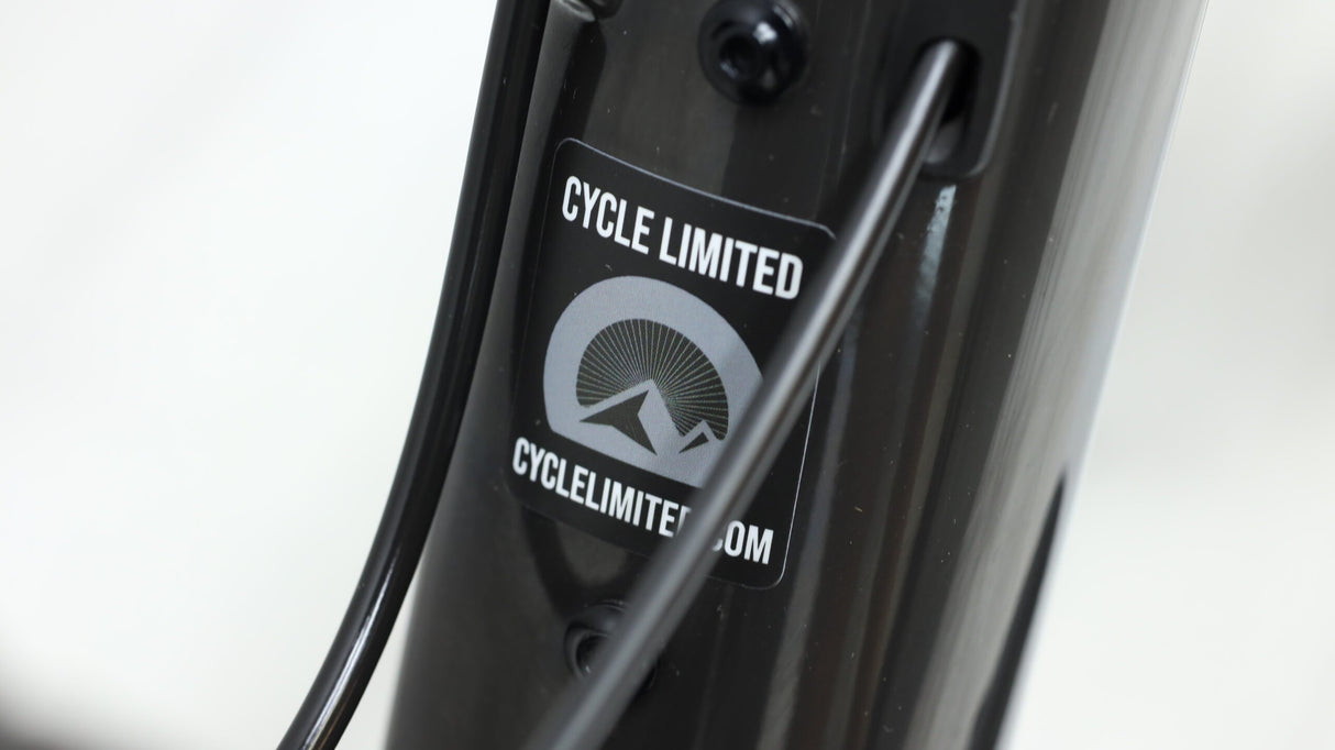 Bicicleta de montaña Santa Cruz Blur C 2021 - Grande