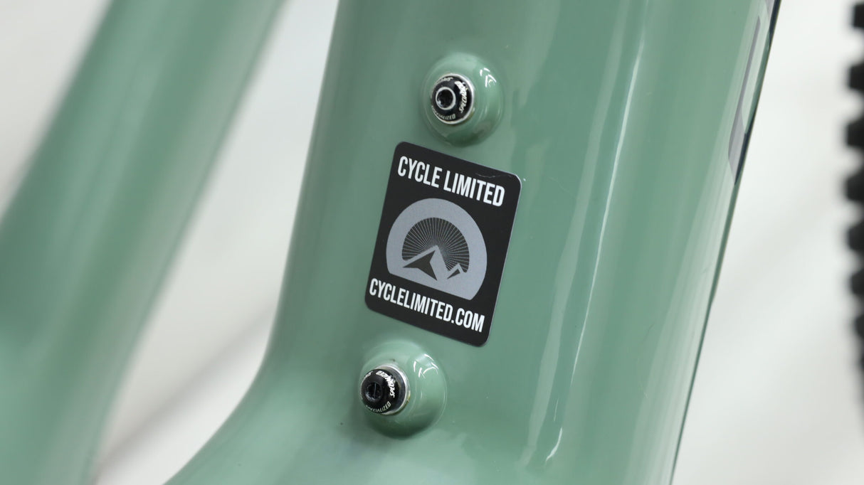 Bicicleta eléctrica de montaña de carbono Specialized Turbo Levo SL Expert 2021 - Grande