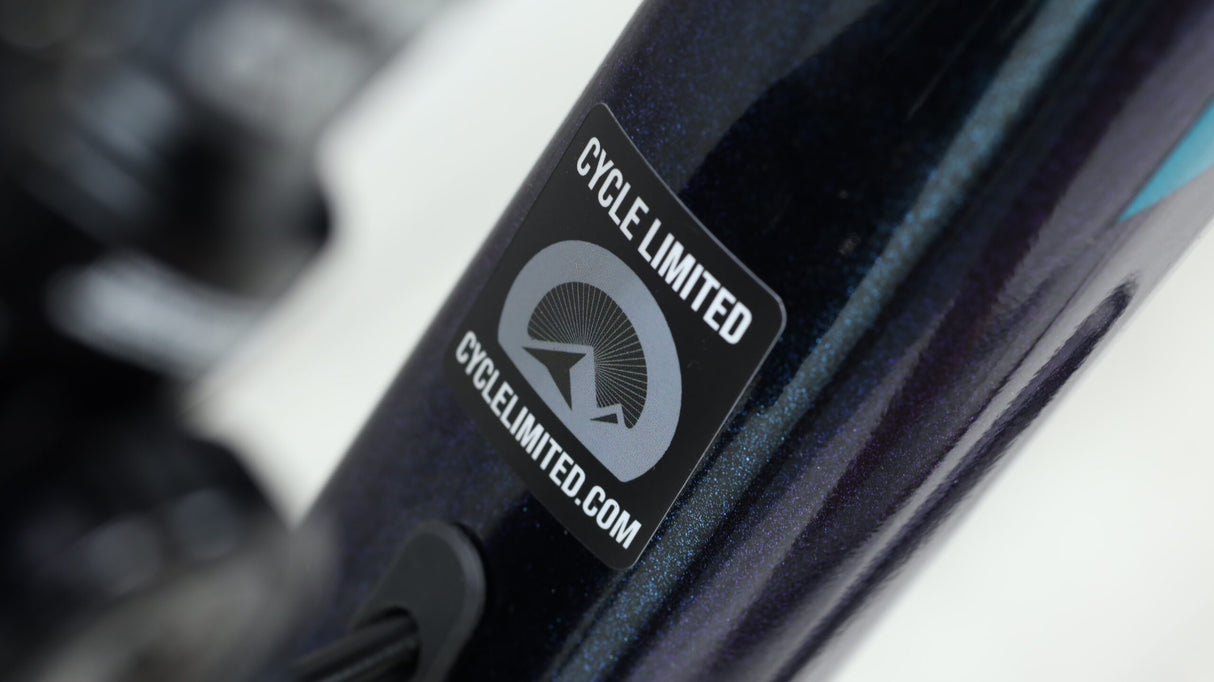 Bicicleta de montaña Polygon Siskiu N9 2021 - Extragrande