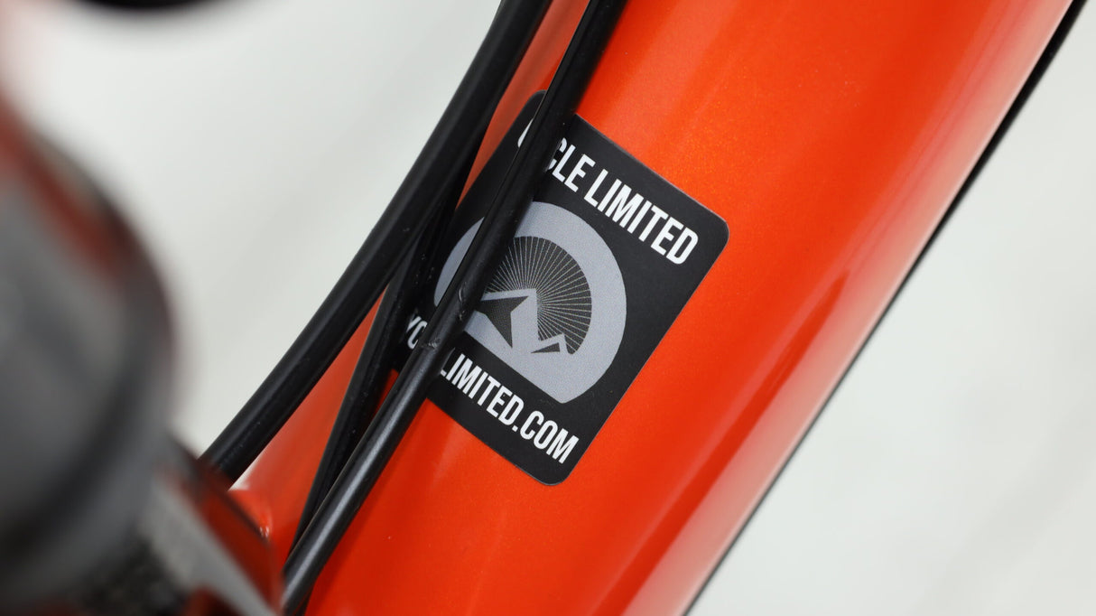 Devinci Troy Deore 12s  Mountain Bike - 2022, X-Large