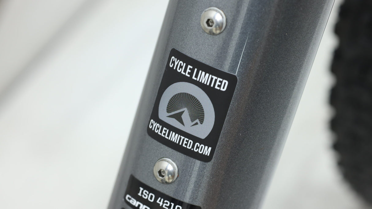 Vélo de montagne Cannondale Scalpel-Si Carbon 2 2020 - X-Large