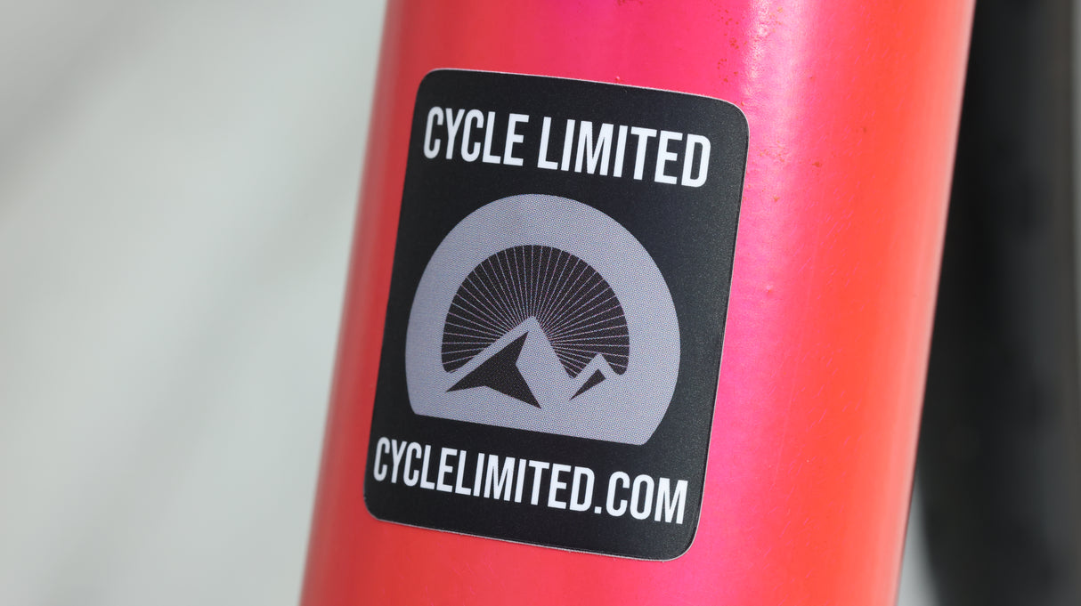 VYNL RD Rim Campagnolo Road Bike - 2020, 51cm