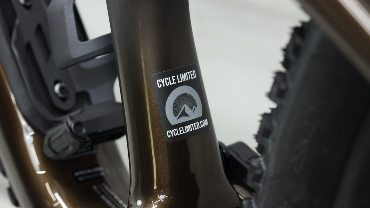 Bicicleta de montaña Specialized Stumpjumper Expert 2022 - Grande