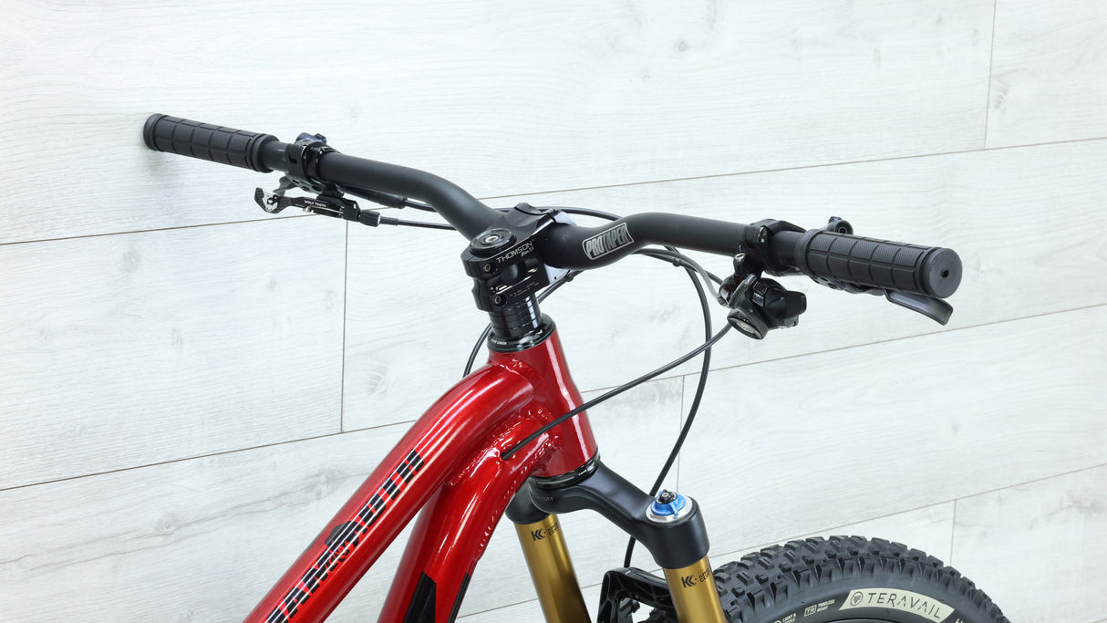 Lenz Mammoth SRAM XX1 Mountain Bike - 2023, Small