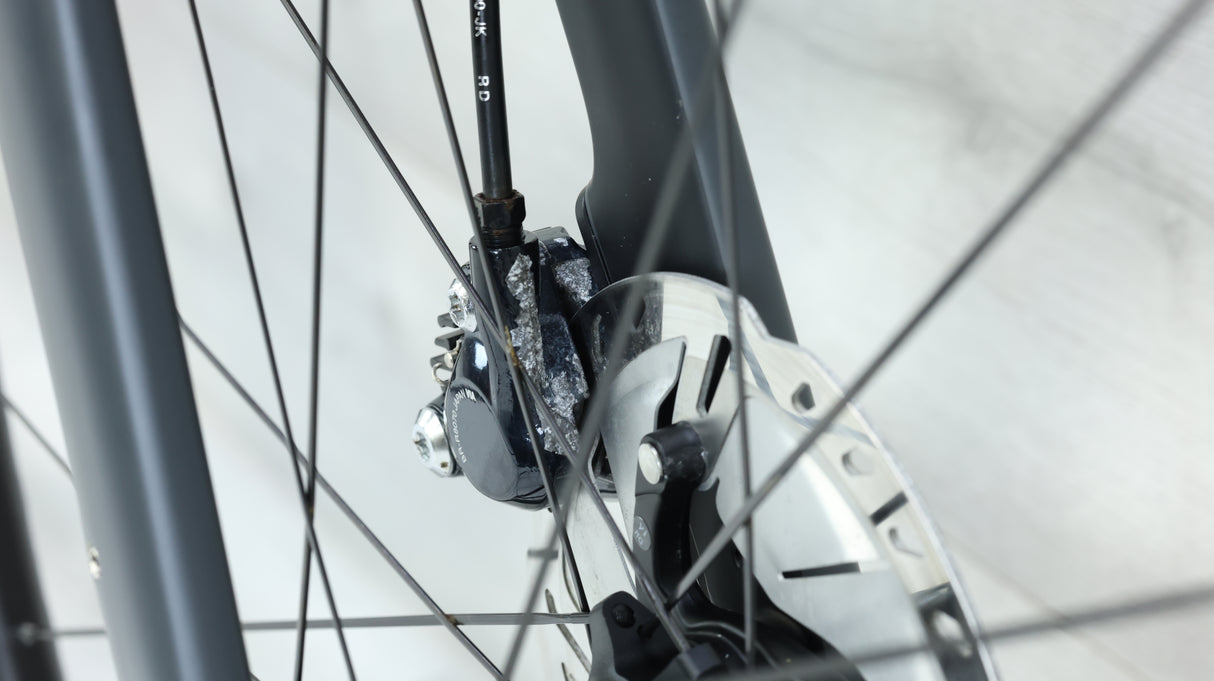 Trek Domane SL 7 Road Bike - 2020, 58cm