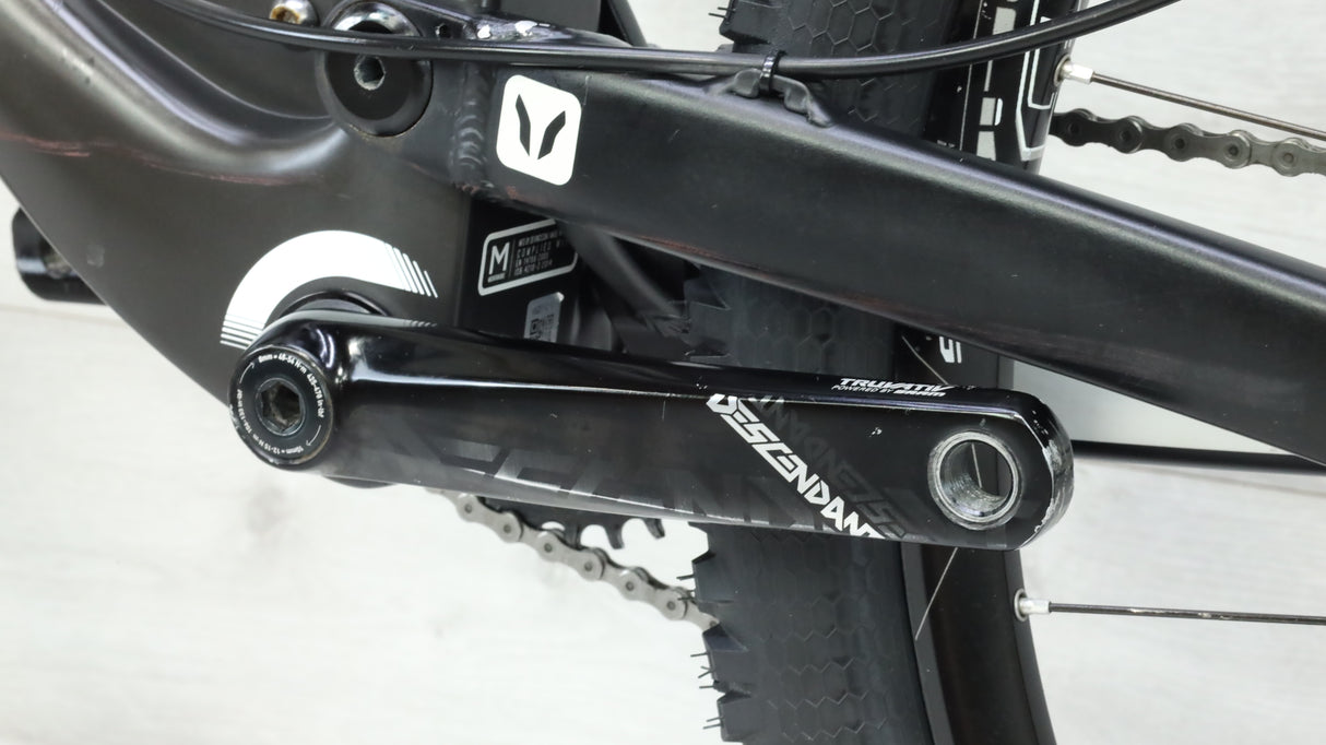 Devinci Django Carbon RS Mountain Bike - 2017, Large