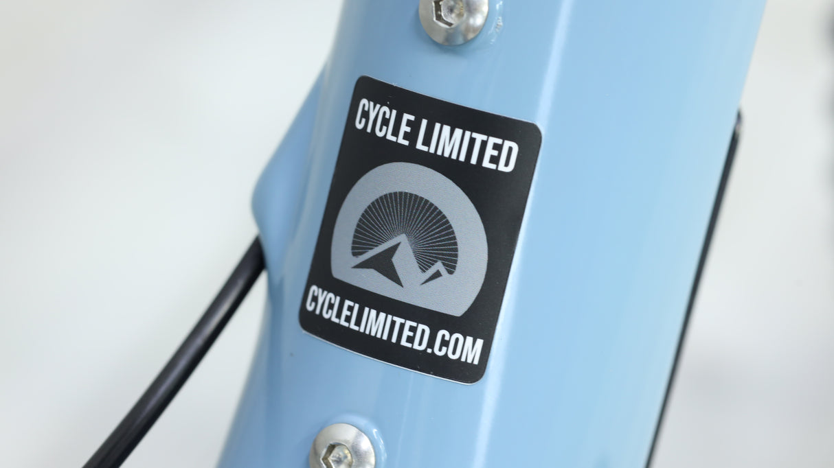 2022 Ibis Ripley V4 Carbon Mountain Bike - Medium