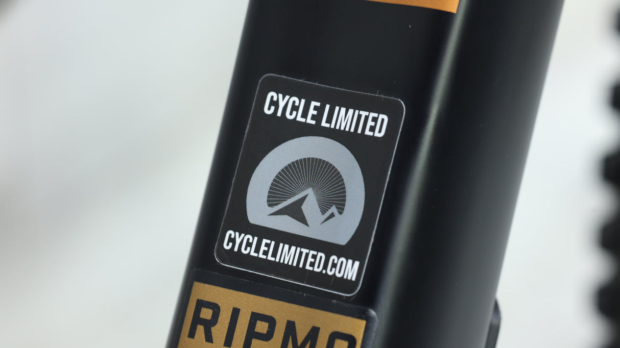 2023 Ibis Ripmo V2 Mountain Bike - Large