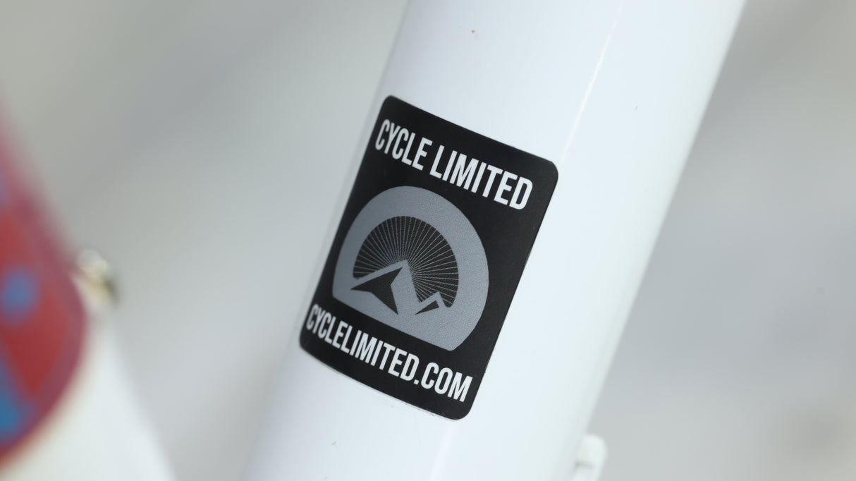 2018 Reeb Dikyelous2 Mountain Bike - Large