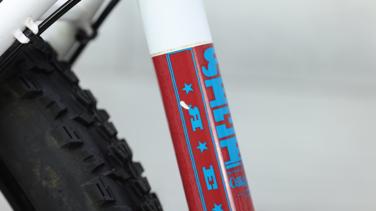 2018 Reeb Dikyelous2 Mountain Bike - Large