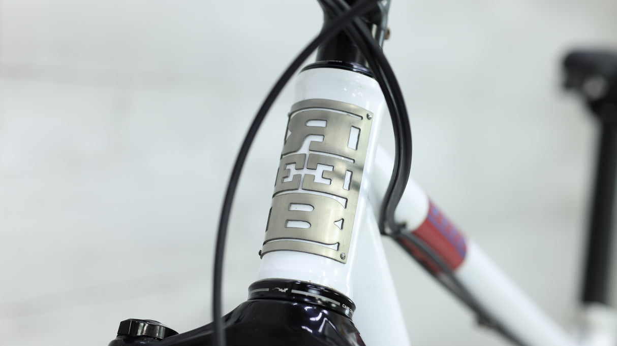 2018 Reeb Dikyelous2 Mountain Bike - Large