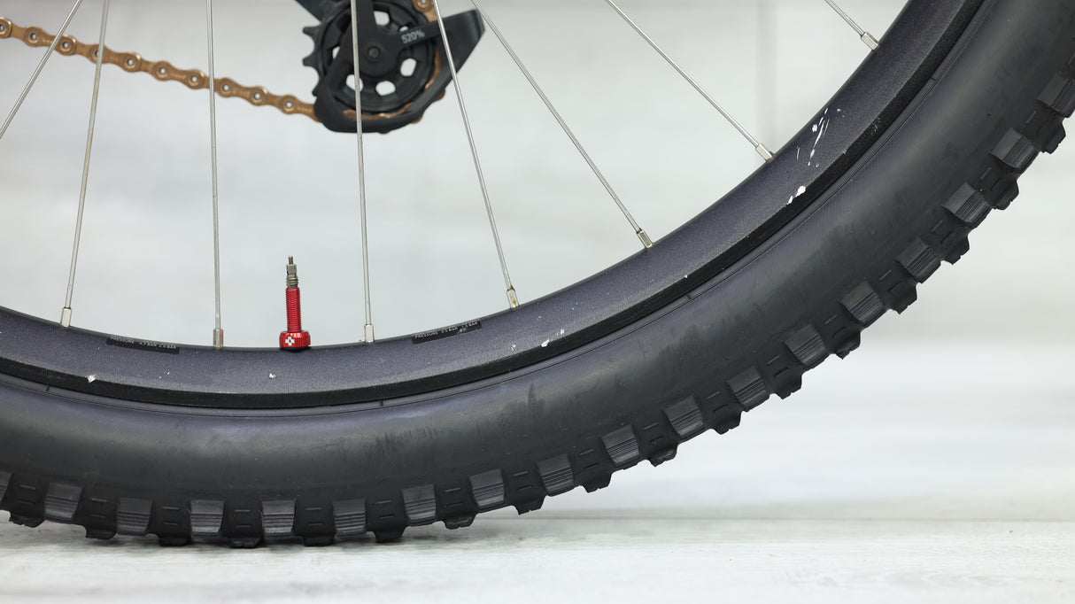 Specialized S-Works Enduro Mountain Bike - 2021, Small (S2)