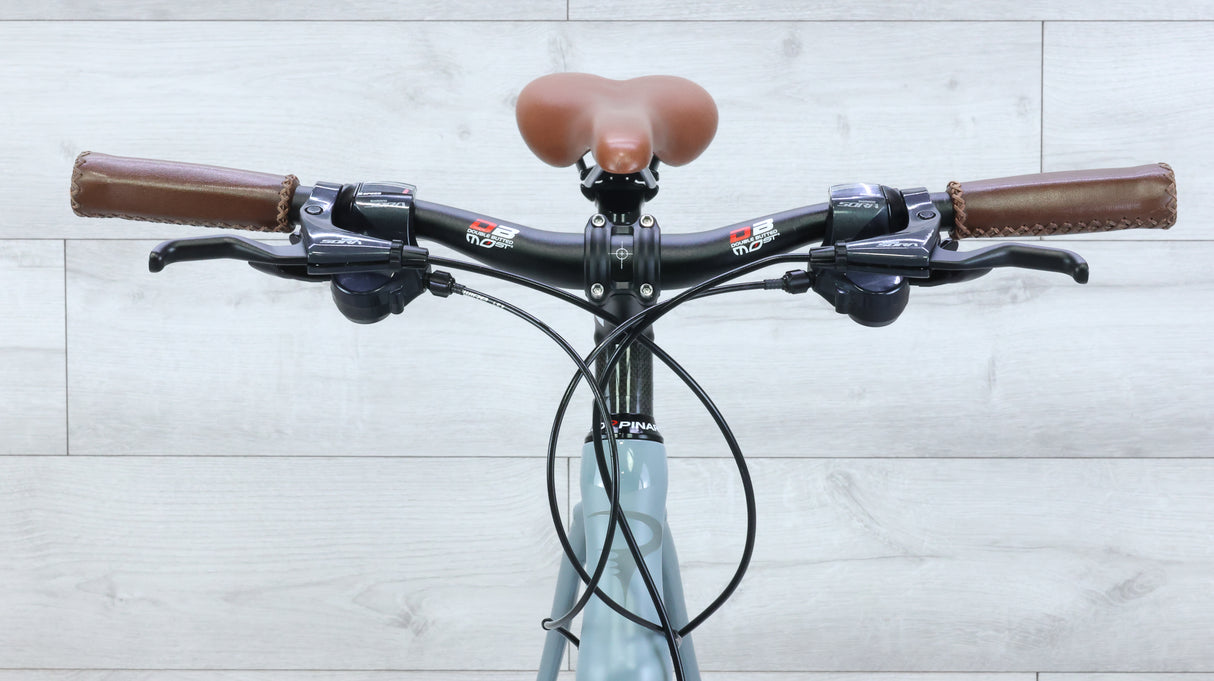 Pinarello Treviso Carbon Disk Hybrid Bike - 2018, Medium