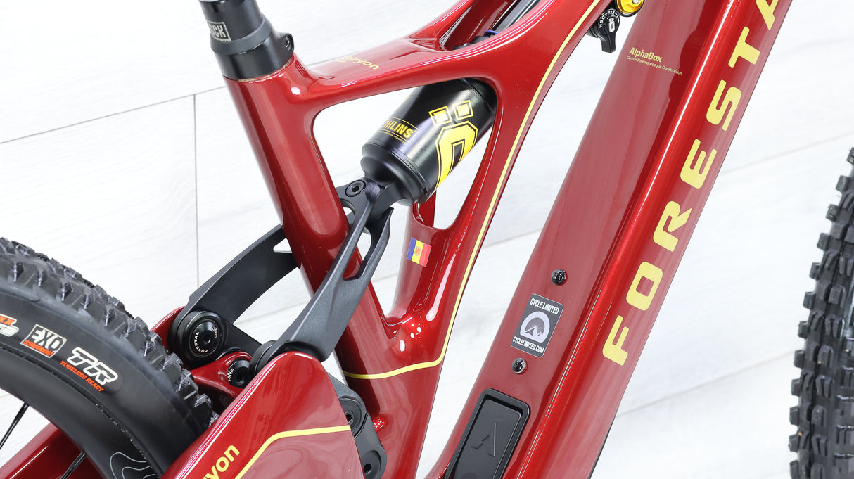 Forestal Siryon Diode Mountain E-Bike - 2021, Medium