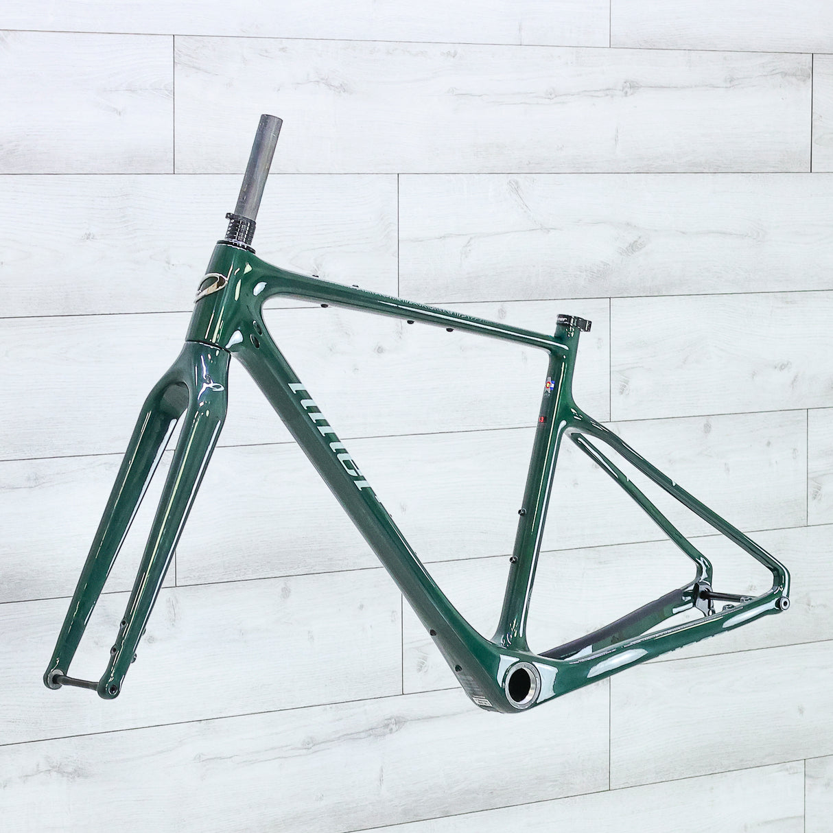 Niner ORE 9 RDO Gravel Bike Frameset - Transparent Green