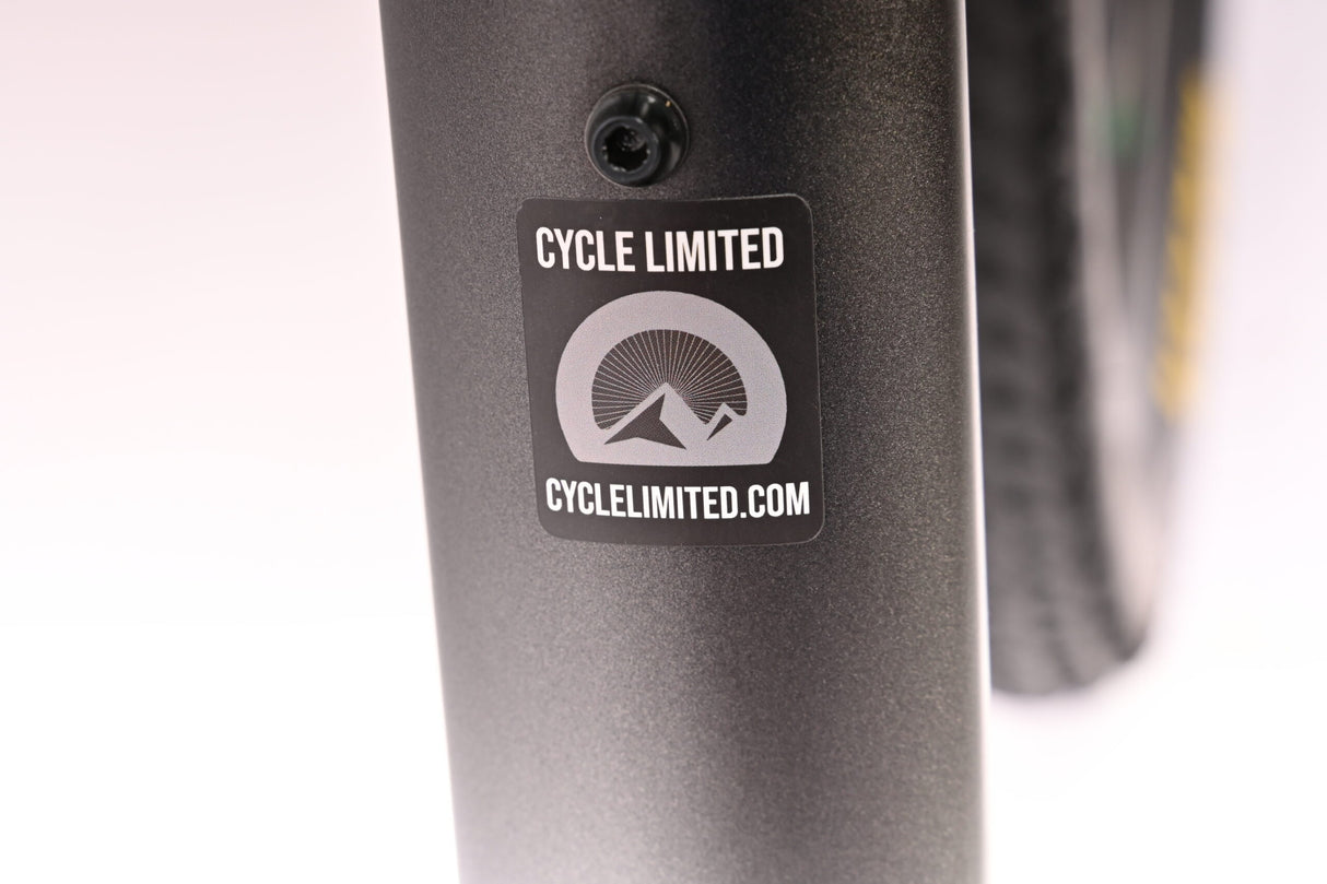 Bicicleta de montaña Giant Trance Advanced Pro 29 2020 - Mediana