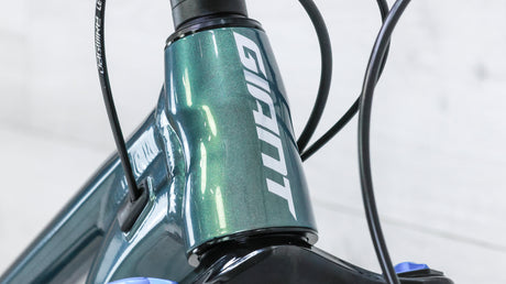 2025 Giant Bikes Buyer's Guide