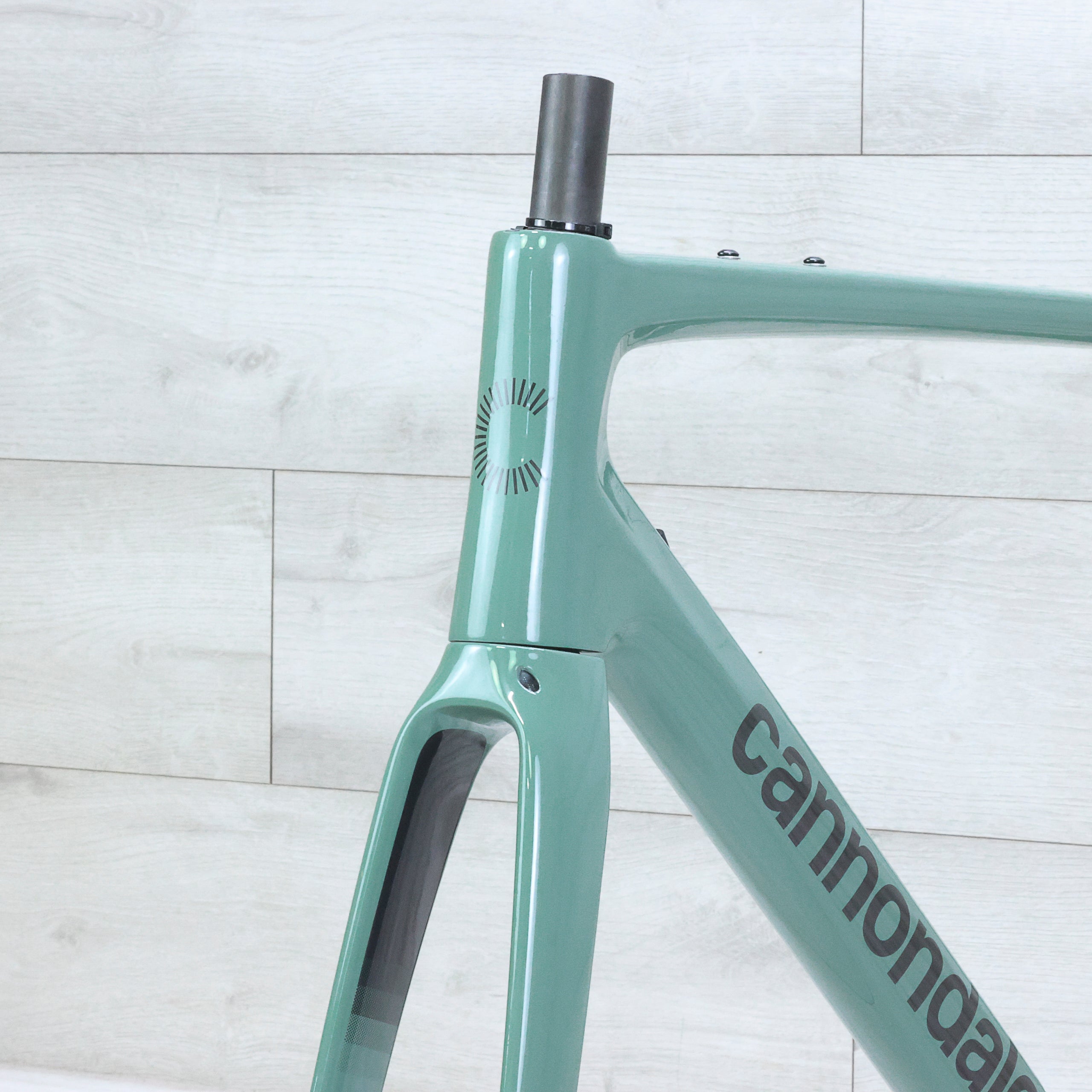 Cannondale Synapse Carbon 2 LE Road Bike Frameset - 2024, 56cm