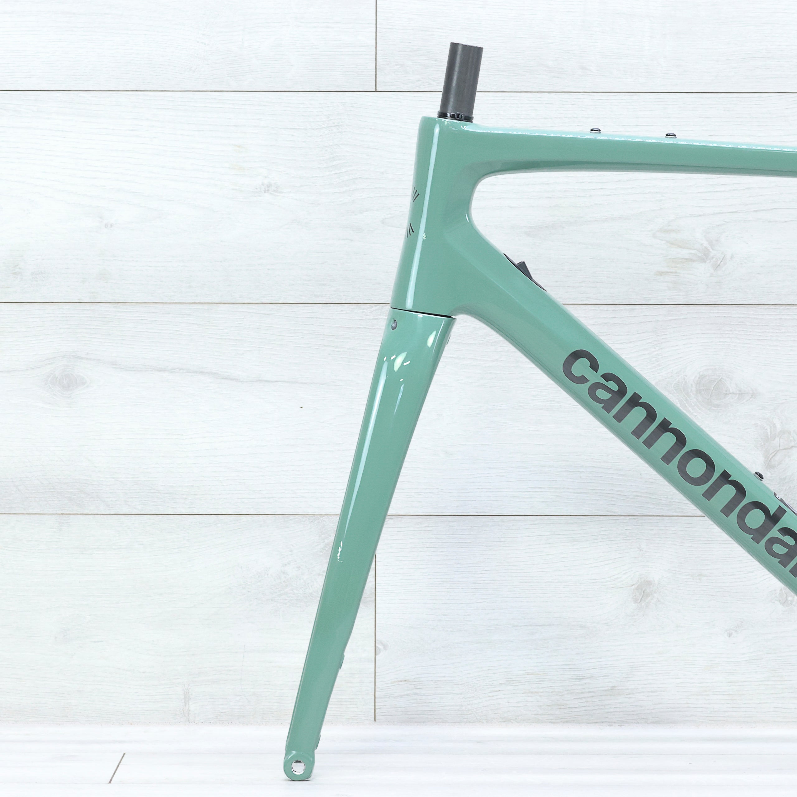 Cannondale Synapse Carbon 2 LE Road Bike Frameset - 2024, 56cm