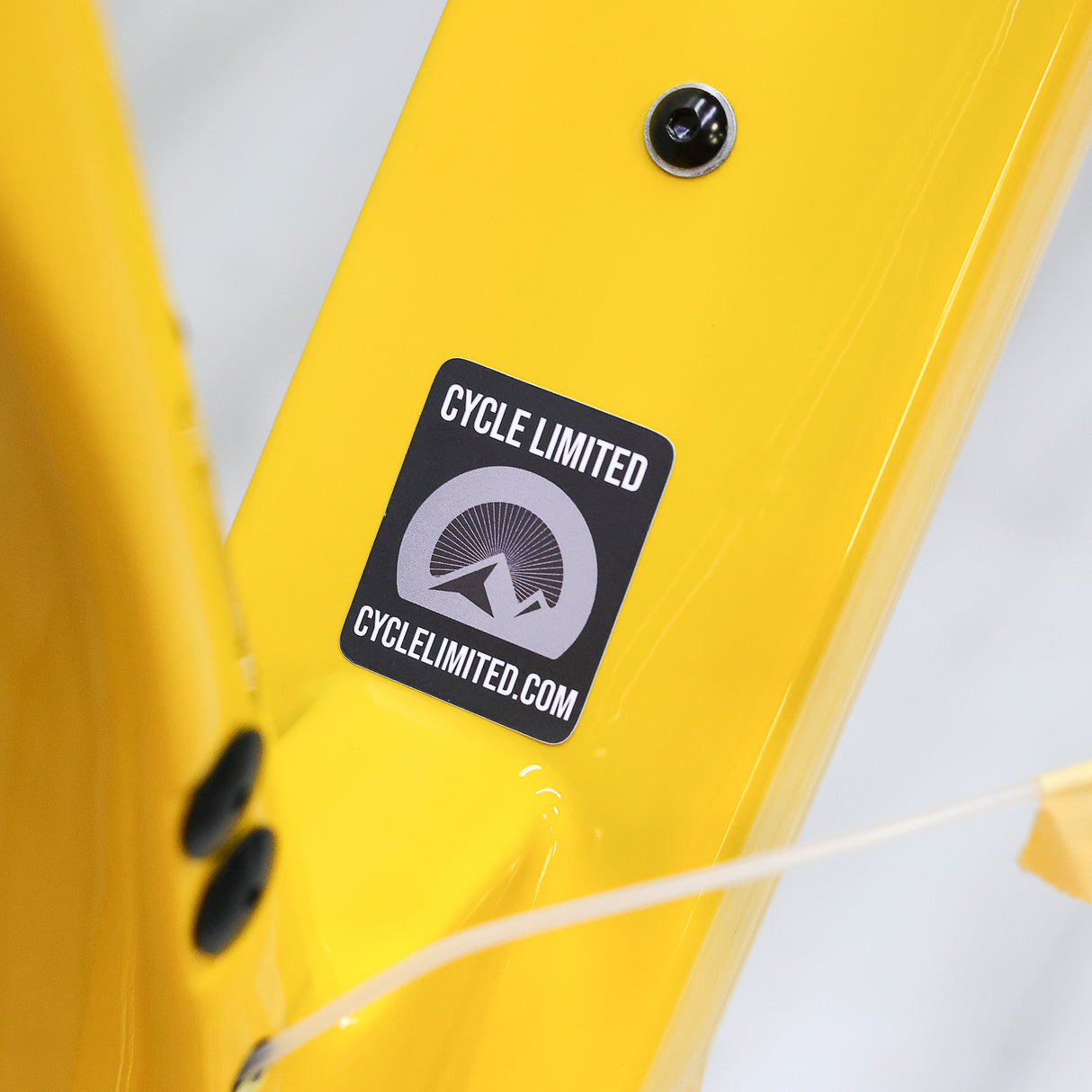 3T Ultra Gravel Bike Frameset - 2025, Mustard