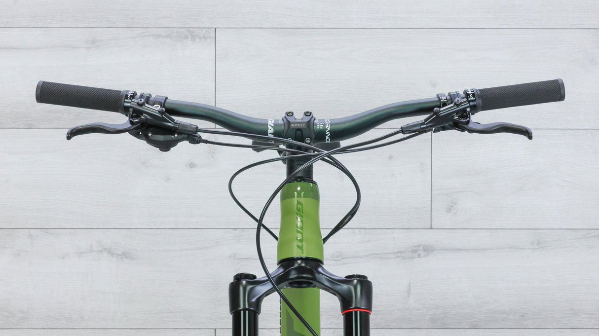 Giant Trance 3 Mountain Bike - 2020, Medium