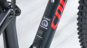 Specialized Epic Comp Carbon Mountain Bike - 2018, Medium