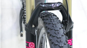 Giant Lust Advanced 2 Mountain Bike - 2014, Medium