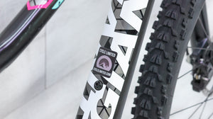 Giant Lust Advanced 2 Mountain Bike - 2014, Medium