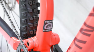 Canyon Neuron 5 Mountain Bike - 2022, Large