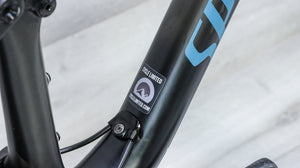 Specialized Epic Expert EVO Mountain Bike - 2019, Large