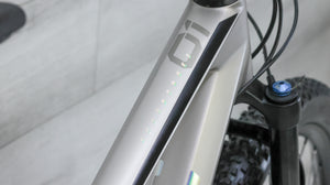 BMC FourStroke 01 TWO Mountain Bike - 2022, Medium