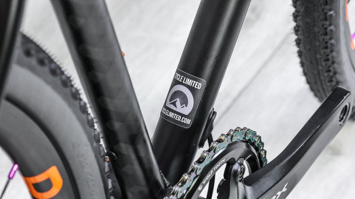 Rodeo Labs Flaanimal 5.0 Gravel Bike - 2024, 52cm