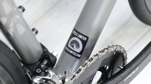 Affinity Anthem Stainless Steel Road Bike - 2021, Medium