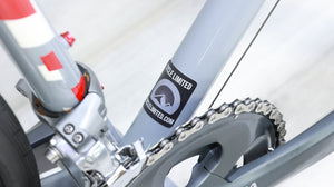 Salsa Colossal 2 Road Bike - 2014, 53cm