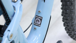 Ibis Ripley X01 Mountain Bike - 2021, Small
