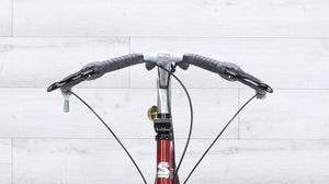 Surly Disk Trucker Steel Touring Bike - 2016, 58cm