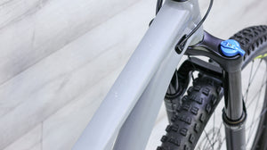 Specialized Stumpjumper Comp Alloy 29 Mountain Bike - 2020, Medium