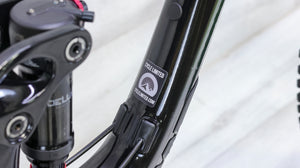 Giant Reign 29 2 Mountain Bike - 2021, Large