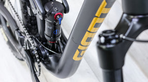 Giant Trance Jr 26 Mountain Bike - 2022, Youth