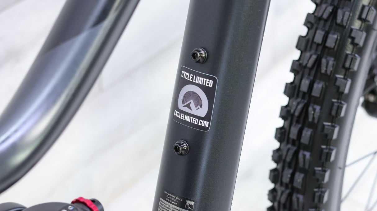 Giant Trance Jr 26 Mountain Bike - 2022, Youth