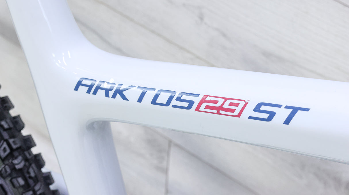 Alchemy Arktos 29 ST Mountain Bike - 2020, X-Large