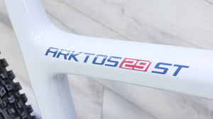 Alchemy Arktos 29 ST Mountain Bike - 2020, X-Large