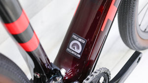 Trek Checkpoint SL 5 Gravel Bike - 2020, 49cm