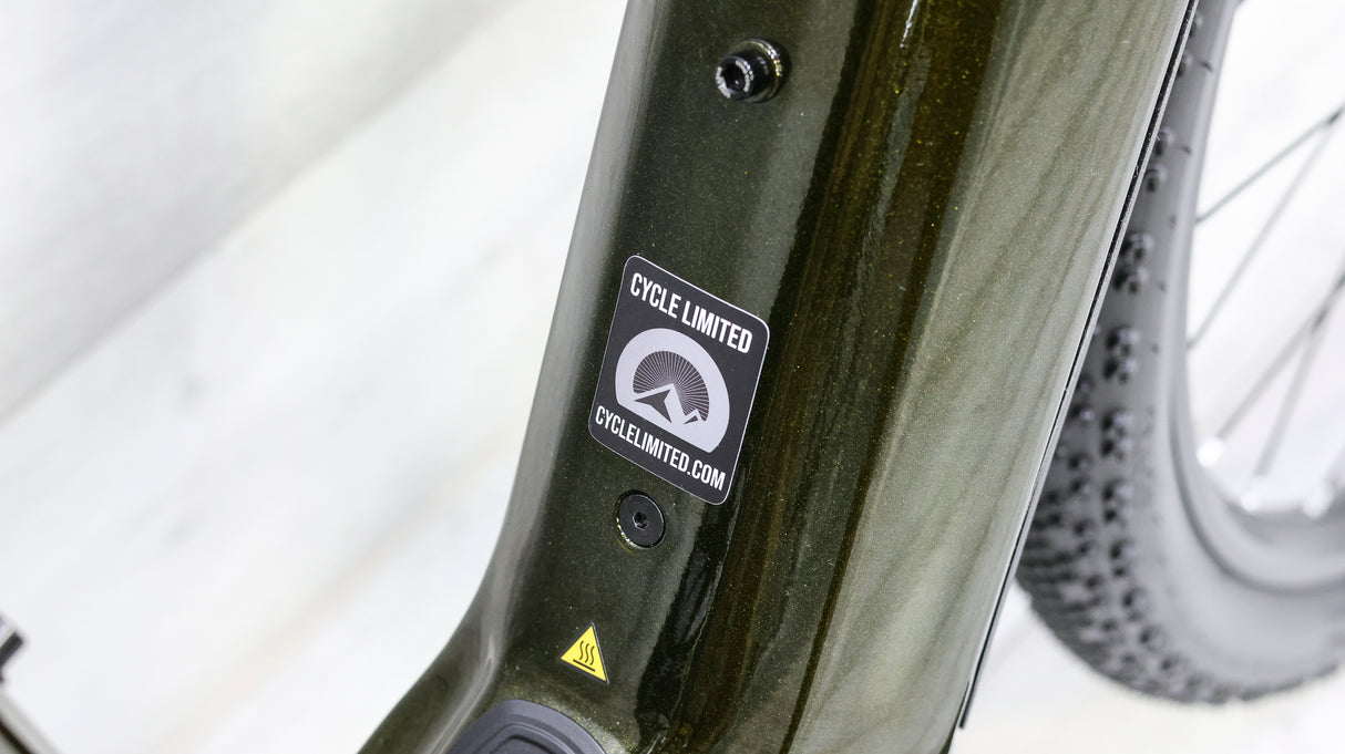 Niner RLT e9 RDO 4-Star Gravel E-Bike - 2024, 50cm