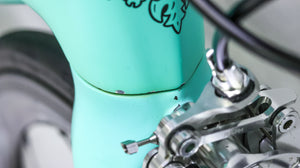 Bianchi Specialissima Road Bike - 2017, 53cm