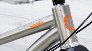 Chumba Stella Titanium Single Speed Mountain Bike - 2021, Medium