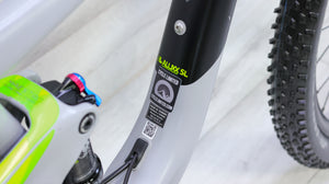 Giant Trance 2 Mountain Bike - 2018, Small