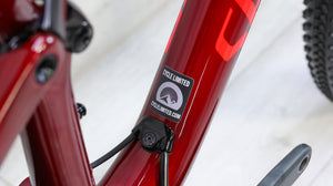 Specialized Epic Expert Mountain Bike - 2020, Large