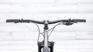 Carver Newsboy Titanium Mountain Bike - 2022, X-Large