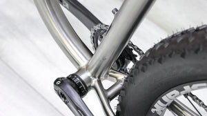 Carver Newsboy Titanium Mountain Bike - 2022, X-Large